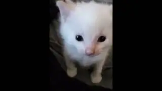 Hi Herbert