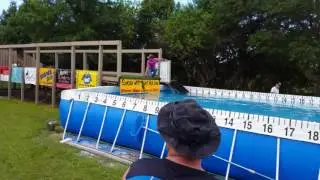 Tracer dock diving 5•29•16