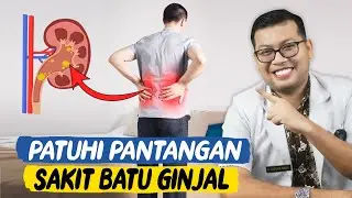 PANTANGAN MAKANAN DAN KEBIASAAN SAKIT BATU GINJAL - DOKTER SADDAM ISMAIL