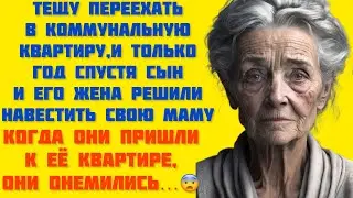 "Невеста шокирует свекровь: новый дом или испытание?"