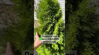 #краснодар