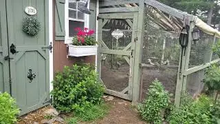 Chicken Run Tour!