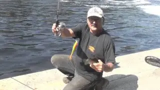 Crappie fishing