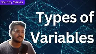 What are the types of Variables in Solidity?
