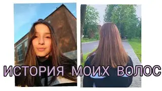 ИСТОРИЯ МОИХ ВОЛОС