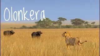 Olonkera