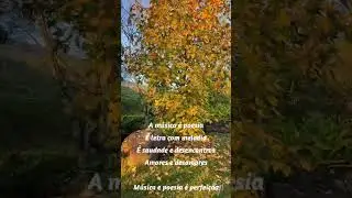 Música e poesia