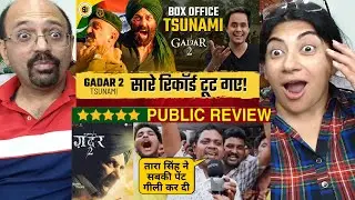 Gadar 2 की Tsunami🔥| Gadar 2 Collections | Sunny Deol | Gadar Movie 😱✨