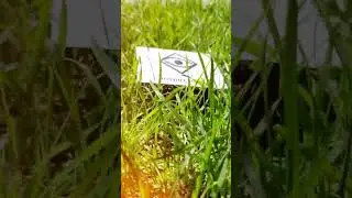 Если хочешь без слов выражать свои мысли, то бери этот магнит. Настрой на день + тренировка глаз
