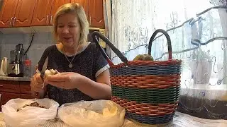 Василий с утра ушёл,вымок,но насобирал/Перерабатываю грибы/Удобряю растения