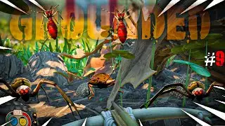 Insects Are Trying To Eat Me grounded playthrough 1.0