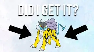 DID I GET RAIKOU? -Pokemon GO ST Paul Vlog