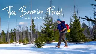 The Bavaria Forest | Winter Backpacking & Wild Camping Alone