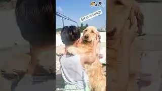 눈물없이 볼 수 없는 골댕이와 아이의 상봉장면