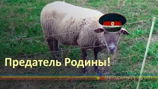 Вербовка добровольца в казачью дивизию 