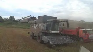 Один день до дождей. Успеем убрать? Гоняем по кочкам, надо успеть.