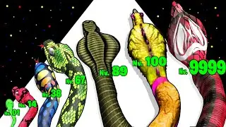 LA MEILLEURE ÉVOLUTION DE SERPENT POSSIBLE ?! (Snake Evolution Run 3D)