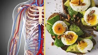 What Happens | Health benefits of eggs in your diet