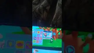 haaaaaaaaaa