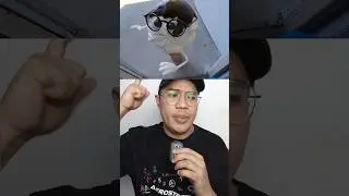 ICE CREAM LIVES! 