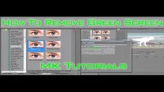 SonyVegasPro: Green Screen & Masking