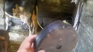 Доильный аппарат не работает, в чем причина.