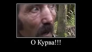 Польский Мат  О Курва,Я Пердоле, Пердольше, Спердалай,