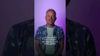14 августа 2024 г.