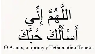 6 февраля 2024 г.