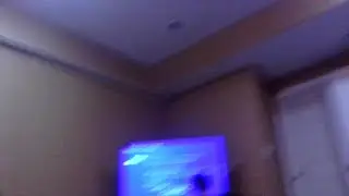 fortnite livestream