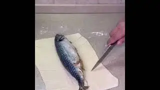 скумбрия 