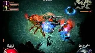 Path of Exile - Паукан