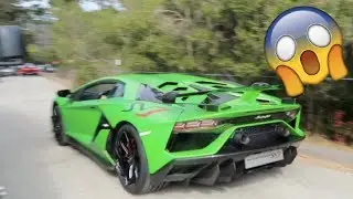 LAMBORGHINI SVJ DRIVING ON THE ROAD