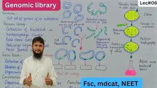 Genomic library | DNA library | class 12