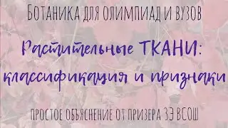 РАСТИТЕЛЬНЫЕ ТКАНИ для олимпиад по биологии | Анатомия растений с нуля для олимпиад