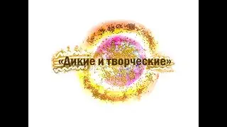 Авторский тренинг «Дикие и творческие» Хабаровск 10