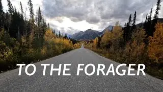 Tom Rosenthal - To The Forager (Lyrics)