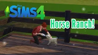 Let's Play The Sims 4 Horse Ranch! | 2 | Buying A Mini Sheep!