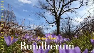Rundherum Sulm-Auen | Schloss Seggau | Südsteiermark