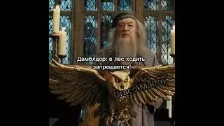 Я вообще делаю, что хочу) 😌👌