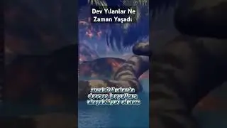 Dev Yılanlar Ne Zaman Yaşadı #gizemlervebilinmeyenler #youtuber #youtube #youtubeshorts #bilgi