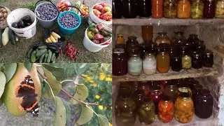 ТАЄМНИЦІ НАШОГО ПОГРЕБА І ТАКЕ ВСЯКЕ 😊