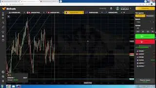 Bintradeclub торговля с нуля