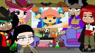 THE BESTEST TIK TOKS ONE YEAR ONE PIECE 30 MINUTES