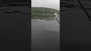 Морская в заливе