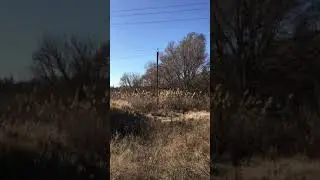 Бетховен Лунная соната