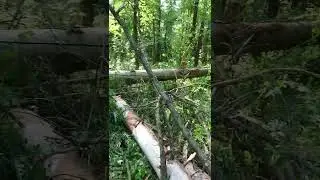 Поездка на Учинское водохранилище после дождей