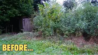 The old man BEGGED us to RESTORATION part of the GARDEN! He CAN'T take it ANYMORE!