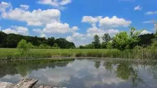 Dock Time Lapse