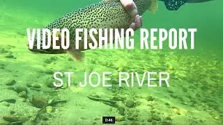 St Joe River - Late Fall Video Fly Fishing Report